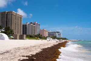OakhurstKitchen.com // Miami